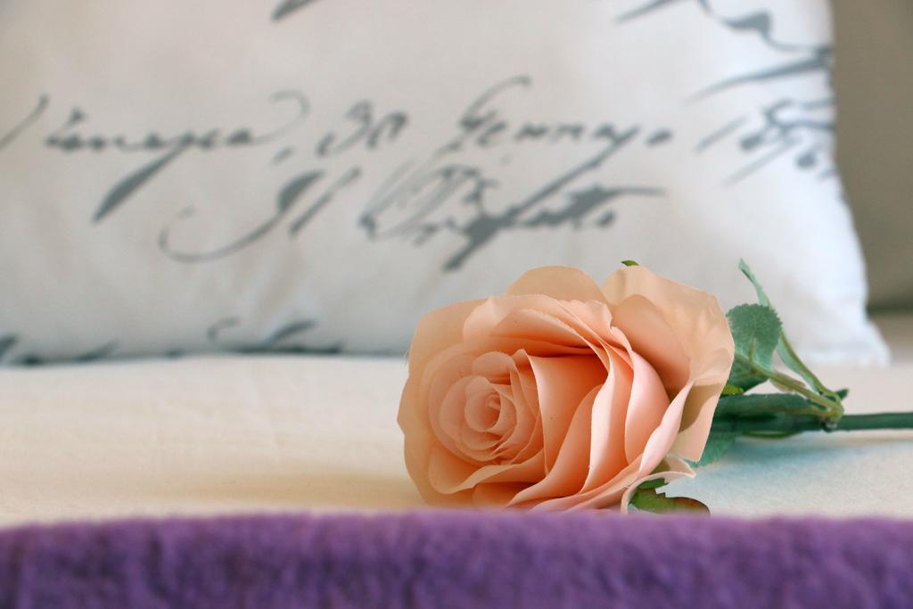 Апартаменты Blue Rose Трогир Экстерьер фото